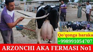 ARZONCHI AKA FERMASI. AKSIYA 100% SOG'IN APARAT SEPARATOR 5 TA SIGIRGA ️991054707 ️974120909