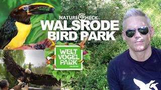 A Day at the World's Largest Bird Park