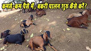 #shortsvideo  कमसे कम पैसे में  बकरी पालन कैसे शुरु करें।। Low cost me Goat Farm start