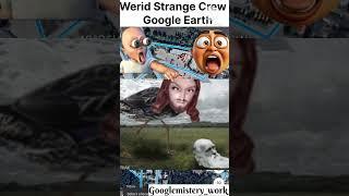lfound crow in Google Earth #gooleearth #map#shorts #viral