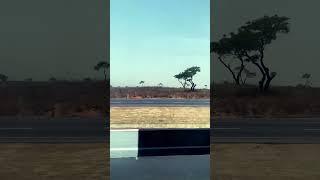 Hundred Miles #travel #travelvlog #exploringworlds