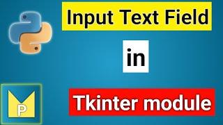 Create an Input Text Field to Take User Input | Python Magix