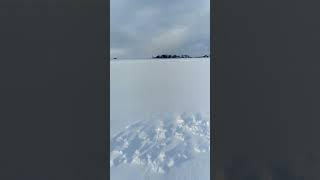 On ice.