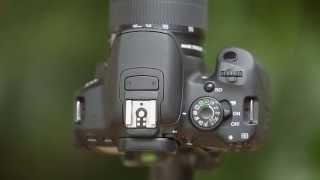 Understanding The Mode Dial - How to Use Your Camera, Part 2