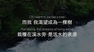 樹 Tree (Chinese version) - Justin Rizzo | Melody Hwang cover