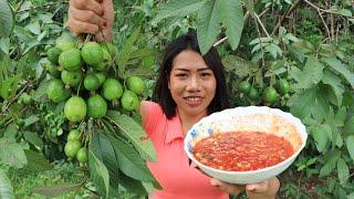 Eating fresh Guava fruit with chili salt - Eating show