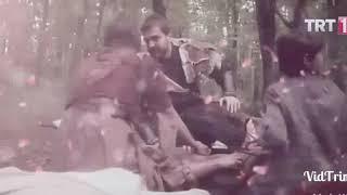 Красивая любовь Эртугрула и Халиме