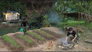 900 Days of Reclaiming New Land, Gardening, Growing Vegetables, Harvesting Longan To Market Sell