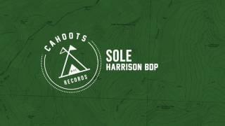 Sole - Harrison BDP [HOOTS006]