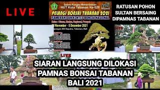 PAMNAS BONSAI TABANAN 2021(BAGIAN 1)@AKANGSASTRA PROJECT NEW