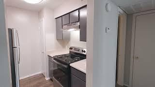 Brixton San Antonio TX liveatbrixton.com 1BD 1BA Apartment For Rent