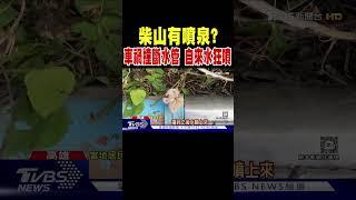 柴山有噴泉? 車禍撞斷水管 自來水狂噴｜TVBS新聞 @TVBSNEWS01