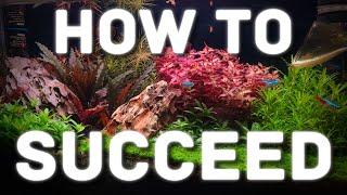 The ONLY Thing You Need to Know For Planted Tank SUCCESS!