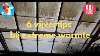 6 vijvertips bij extreme warmte!