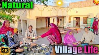 Ammi Na Aaj Akla Sara Kam Kia | Pure Village Lifestyle | Traditional life | 4k