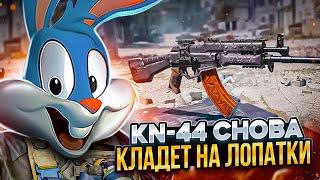 КН-44 ОЧЕНЬ СИЛЬНО БАФНУЛИ В CALL OF DUTY MOBILE | tiny toon codm