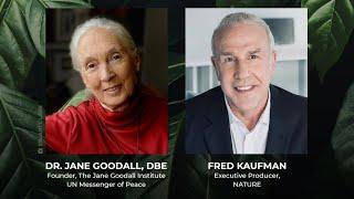 Dr. Jane Goodall, DBE on Chimpanzees | PBS NATURE