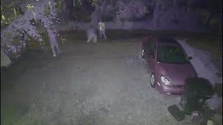 Video shows after teen was shot in back of head in Chickasaw