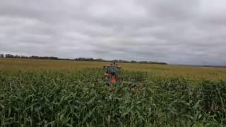 Corn silage baler demo