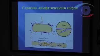 Современные представления о путях оттока внутриглазной жидкости из глаза