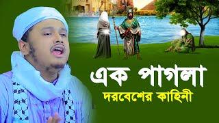 এক পাগলা দরবেশের কাহিনী । qari shamim reza waz 2024