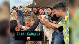 Ye bakra itna mehnga  - bakra mandi vlog - eid ul adha 2022