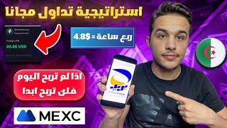 افضل استراتيجية تداول للمبتدئين  لا خسارة بعد اليوم