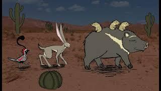 Jack and the Desert Serenade