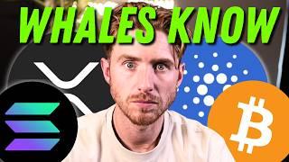 TRUMP About to DROP CRYPTO BOMBSHELL | Whales Make HUGE Moves! 