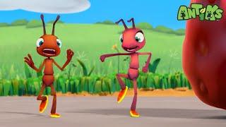 Hotshots  | ANTIKS | Moonbug Kids - Funny Cartoons and Animation