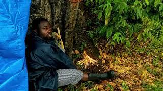 SOLO SURVIVAL CAMPING IN HEARVY RAIN IN THE DARK FOREST