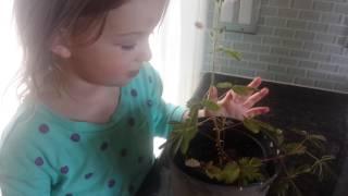 Civano Nusery - Isabel and her plant George
