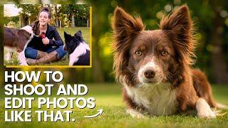 DOG PHOTOGRAPHY | Stunning dog portraits - Settings, tips, edit!