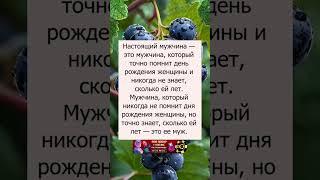 Настоящий мужчина #позитив#шутки#смешно#ржака#прикол