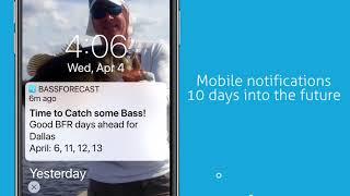 Bassforecast ExplainerVideo
