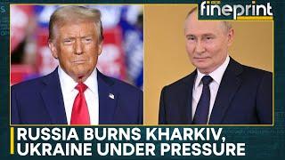 Trump's Ultimatum to Putin: End War Or Face Tariff | WION Fineprint