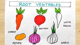 Root vegetables name in English | Root vegetables drawing idea | What is root vegetables?