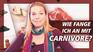 Wie startet man mit Carnivore?