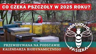 Co czeka pszczoły w 2025 ROKU? - Przewidywana na podstawie kalendarza biodynamicznego