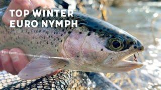 Catch More Winter Fish // Euro Nymphing & Tying The Phantom Nymph Fly Pattern