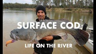 Epic LONG Range Fishing Camping Trip HUGE Topwater Murray Cod