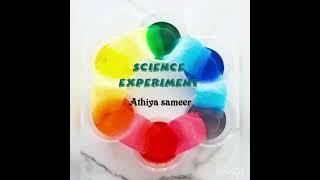 Science Experiments for kids || Colour sollution|| Shafi's Diary 