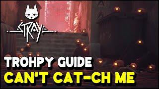 Stray CAN'T CAT-CH ME Trophy / Achievement Guide (Don't get caught by the Zurks in Chapter 2)