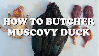 How to Butcher Muscovy Ducks (TO PLUCK OR NOT TO PLUCK?)