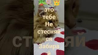 забирай