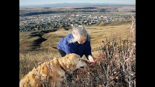 40 Incredible Reasons Why I Live Where I Do (Part 2)...in Cochrane, Alberta, Canada