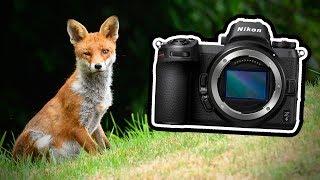 Nikon Z6 for Wildlife Photography? My First Impressions