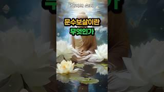 문수보살의 뜻과 의미 #부처님말씀 #불교 #보살