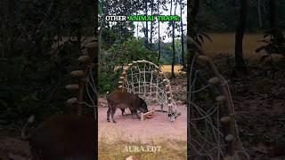 Other Animal Traps VS This One ️ #edit #animal #trollface #trap