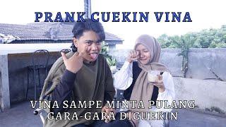 PRANK CUEKIN VINA | SAMPE MINTA PULANG DIA GUYS!!